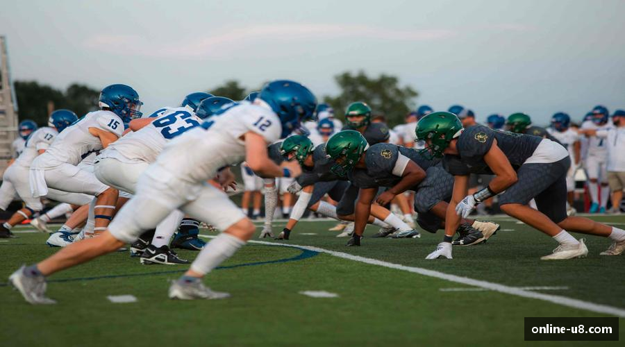 公共体育场馆管理